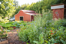 Load image into Gallery viewer, Daddy Farm Brunch- 6/15