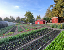 Load image into Gallery viewer, STARSTRUCK: FARM DRAG SHOW 6/13