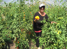 Load image into Gallery viewer, Mana's Greek Brunch- 8/17