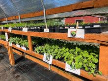 Load image into Gallery viewer, Plant Start Membership