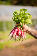 Load image into Gallery viewer, 2025 CSA Shares