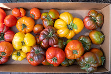 Load image into Gallery viewer, 2025 CSA Shares