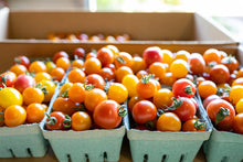 Load image into Gallery viewer, 2025 CSA Shares