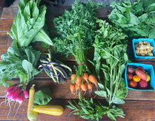 Load image into Gallery viewer, 2025 CSA Shares