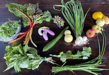 Load image into Gallery viewer, 2025 CSA Shares